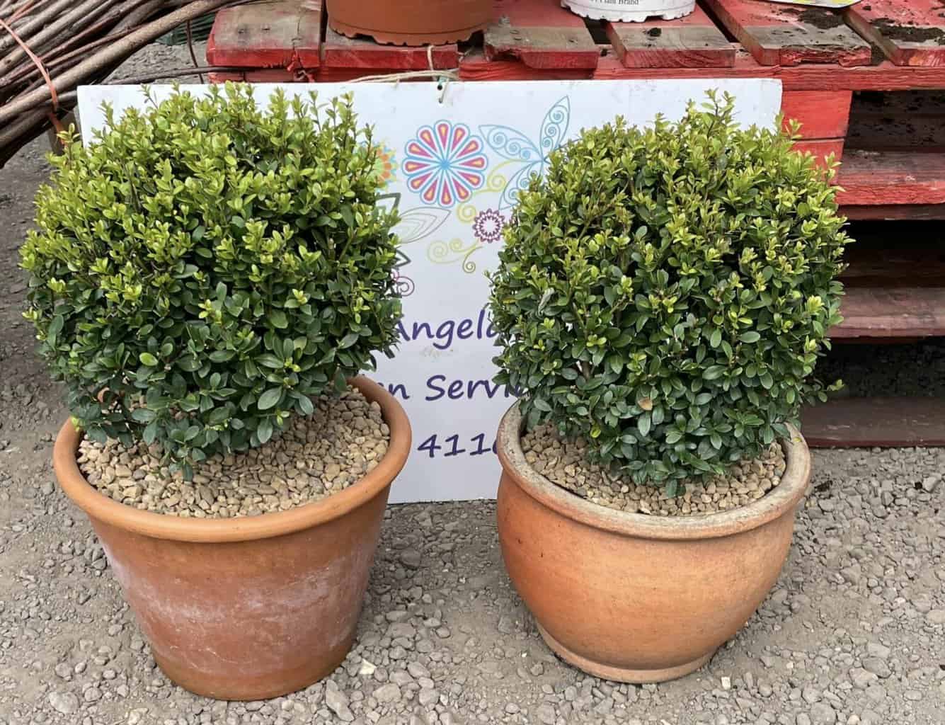 Pots