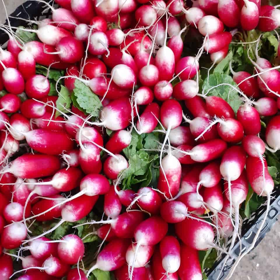 Radish Shaw's Fruit & Vegetable Shop