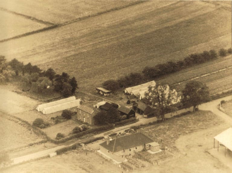 Buxton House circa 1950s Shaw's Fruit & Vegetable Shop