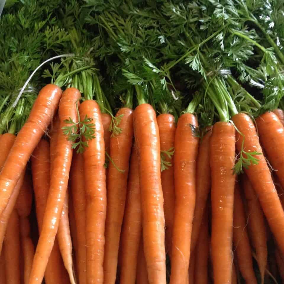 Carrots Carrots