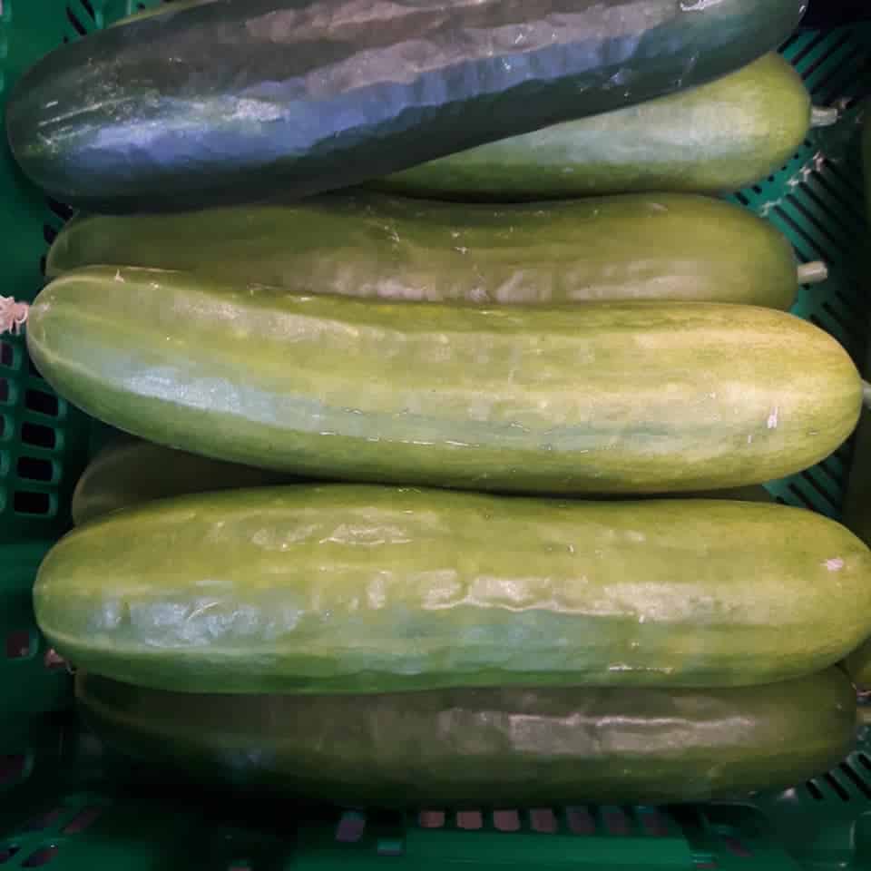 Cucumber Cucumber