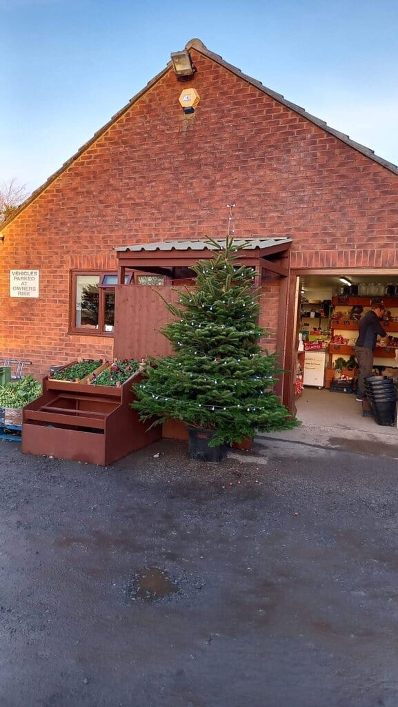 Original Ae0bd847 0d74 4080 9feb F455fece1289