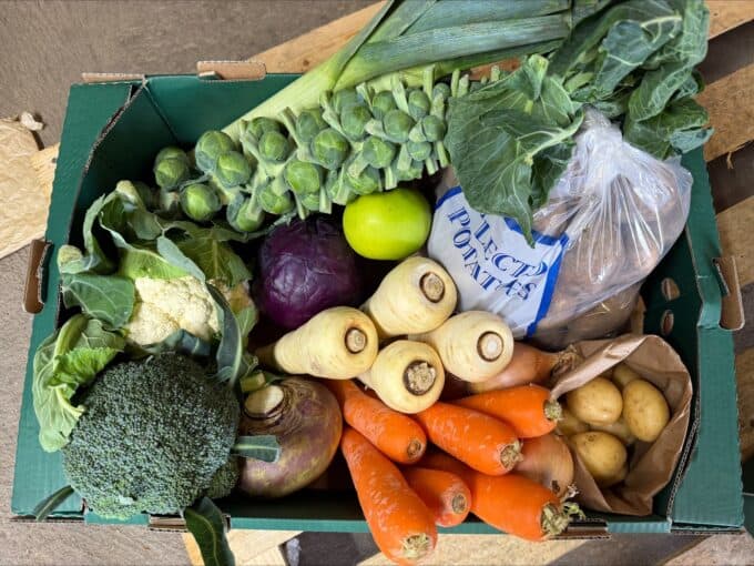 Processed 9611c0df 8bce 43d3 8fae 630aa1062f34