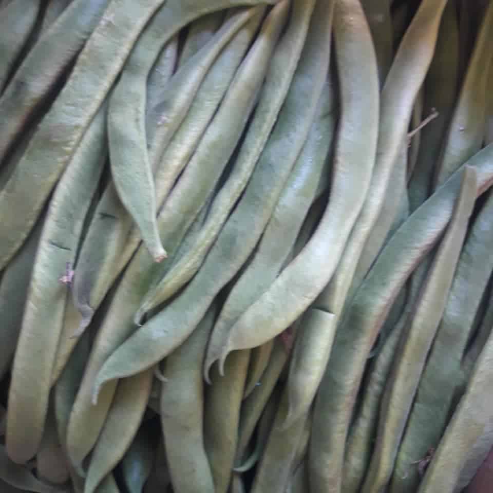 Runner Beans Runner Beans